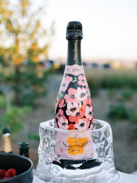 Stanly Ranch Wedding Photographer-0075