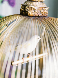 close-up of a white bird inside a gold cage styled with delicate florals in a romantic setting