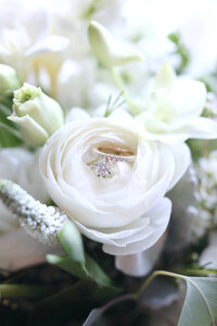 White rose with wedding rings