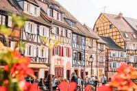 Girlboss-Designer-Travel-Airy-22