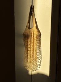 IMG_3584
