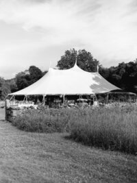 SneakPeek_EmilyKevin_Wedding_Nouvel_ (200)