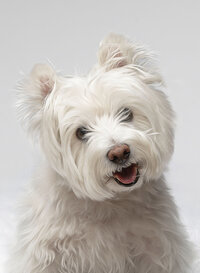 Cooper-060-Edit