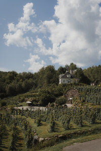 Vue poétique du Château St-Agnes et de son vignoble luxuriant sous un ciel d’été, un lieu d’exception pour un mariage romantique près de Montréal — image capturée par un photographe de mariage à Montréal, soulignant la beauté naturelle et l’élégance intemporelle du domaine.