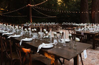 Waterfall-Lodge-and-Retreat-Wedding-Ben-Lomond-California-Wedding-13