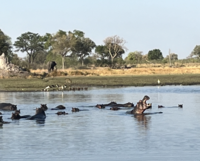 botswana country 4