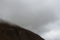 Tromso_Elopement-248