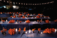 Addy&Chris-1040082