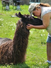 char-arendas-life-w-llamas_53460106135_o