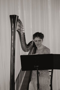 wedding harpist playing during ceremony