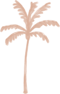palm pink