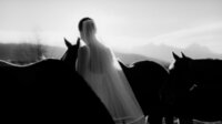 550park-luxury-wedding-films-ULCnbWcBNU8-unsplash