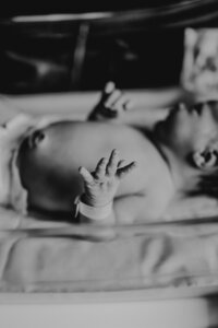 a new baby lays in his bassinet at his fresh 48 session