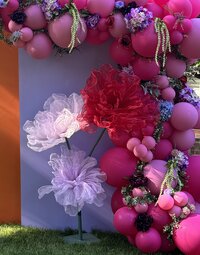 IMG_0196 2