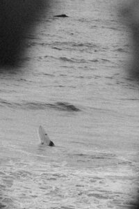 whale sighting with surfer motorcycle engagement photos on pacifica beach