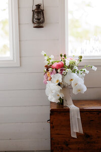 adelaide-wedding-photographer-golding-wines-gallery-244