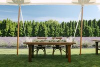 Woodinville_Lavender_Wedding_Lauren_New_Photography-22_websize