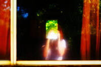 Experimental portrait of Morgan Wright illuminated by colorful light and soft blur.