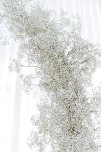 peta-lachlan-fredericks-wedding-186