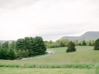 Big Spring Farm Wedding Photographer Kristen Weaver Photography VA Wedding Worldwide Wedding Editorial Fashion Chic Clean Film-1275