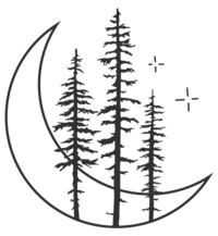 illustration of trees and moon
