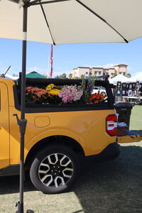 Arizona_event_florist (1)
