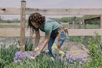 Lifestyle branding images showcasing Cherry Hill Flower Farm. A mix of portraits and candids to be used across social media and web presence. New Hampshire Branding Photographer for small businesses and creatives. Deborah Zoe Photography.