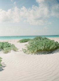 Matthew Moore - HARBOUR_ISLAND_BAHAMAS_WEDDING_OCEAN_VIEW_CLUB_LITTLE_ISLAND_DESIGN_MATTHEW_MOORE_PHOTOGRAPHY_00003_1