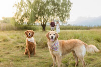 Waterford Michigan family photographry by Savvy Shoots Photography