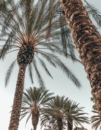 christopher-stark-PQMrF6spOt4-unsplash