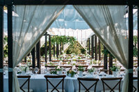 Wedding-Luxury-Detail-Wine-Country