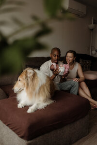 Parents cuddle their baby on the couch with their dog sitting close by in a Maine home. Fine art lifestyle family photography by Damini Photography capturing warm, intimate, and playful in-home moments.