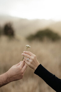 Details during a couple photoshoot in Akaroa