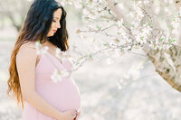 Mayela Maternity-1