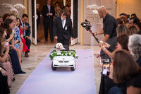a dog driving down the aisle at someone's wedding
