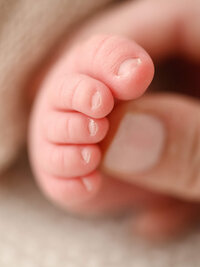 Close-up photograph of newborn baby toes by a Portland newborn photographer.