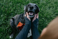 the-wild-within-us-zion-senior-dog-photographer54