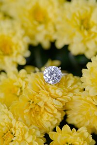 central-park-engagement-photos-deborah-zoe-photography_0004