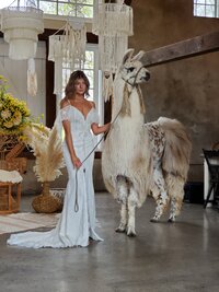 Buck Hollow Llamas