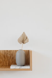 kaboompics_Dried palm leave