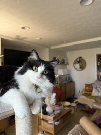 IMG_2558