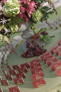 Coronado-Island-Hotel-Del-Coronado-Wedding-Alyssa-and-Logan-by-The-Delacastros-88