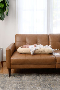 250418-LilPoshShop-APbrands12