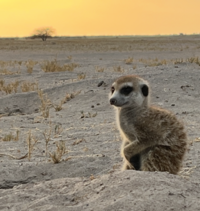 botswana country 3