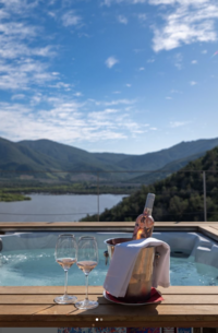 two_weeks_food_and_wine_argentina_and_chile-trip_itinerary-vik-chile-1