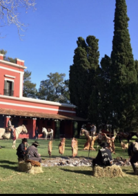 two_weeks_food_and_wine_argentina_and_chile-trip_itinerary-la-bamba-1