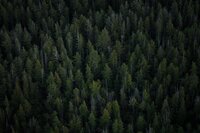 shayd-johnson-3SYi9YfTXdU-unsplash