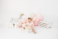 one year milestone cake smash photographer staunton augusta charlottesville waynesboro harrisonburg lexington66