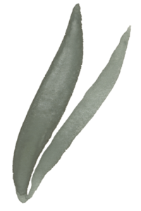 PKL6