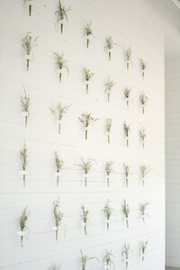 PROSPECT_HOUSE_WEDDING_AUSTIN_TX_MATTHEW_MOORE-00260